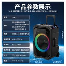 飞利浦（PHILIPS）SD617 8英寸广场舞音响户外舞台大功率移动便携式拉杆音箱无线蓝牙大音量K歌扩音配带双话筒麦克风