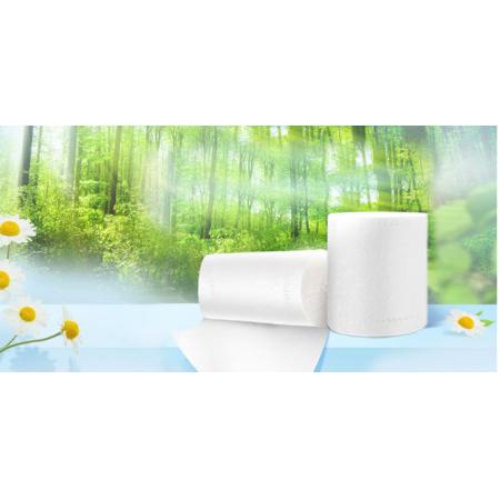 卫生纸维达1800克/V4028